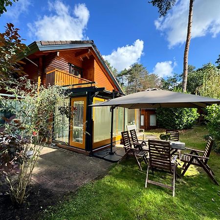 Houten Chalet/Bungalow In Het Bos, Sauna, Jacuzzi Meijel Exterior foto