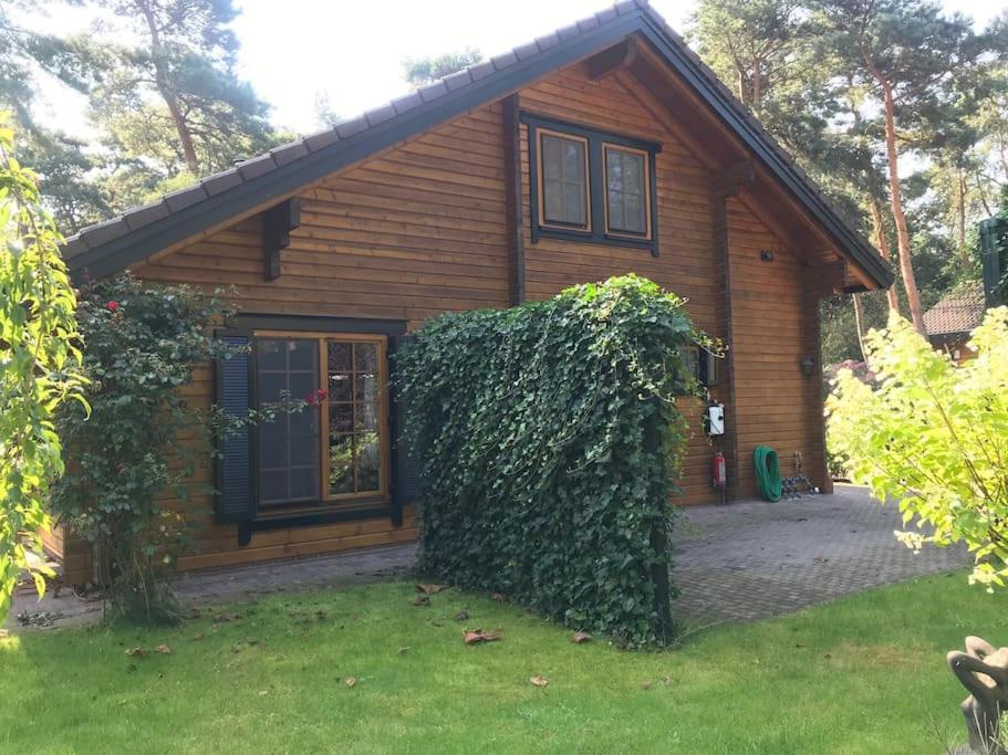 Houten Chalet/Bungalow In Het Bos, Sauna, Jacuzzi Meijel Exterior foto
